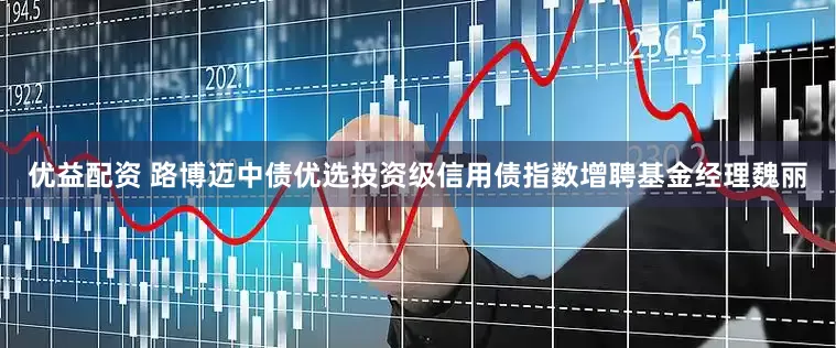 优益配资 路博迈中债优选投资级信用债指数增聘基金经理魏丽